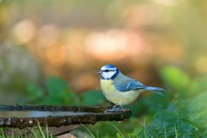 Make Time – Step 4 – Reflect